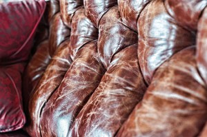 Lire la suite à propos de l’article Comment nettoyer de la sève sur un canapé en cuir