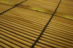 Lire la suite à propos de l’article Comment nettoyer un tapis en bambou