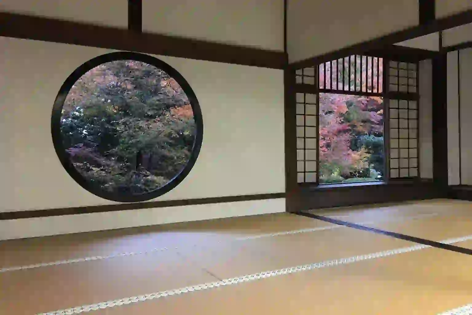 You are currently viewing Comment nettoyer un tatami