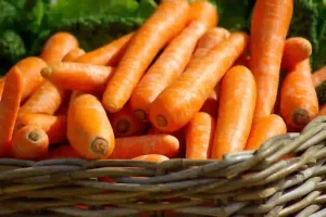 Lire la suite à propos de l’article Comment nettoyer enlever les tâches de carotte
