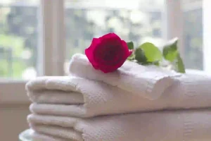 Lire la suite à propos de l’article Comment enlever les taches grises sur les serviettes