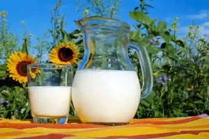 Lire la suite à propos de l’article Comment nettoyer des traces et odeurs de lait caillé