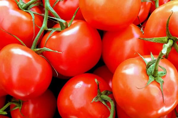 You are currently viewing La tomate découvrez ses incroyables bienfaits