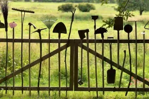 Lire la suite à propos de l’article Comment nettoyer les outils de jardin pour l’hivernage